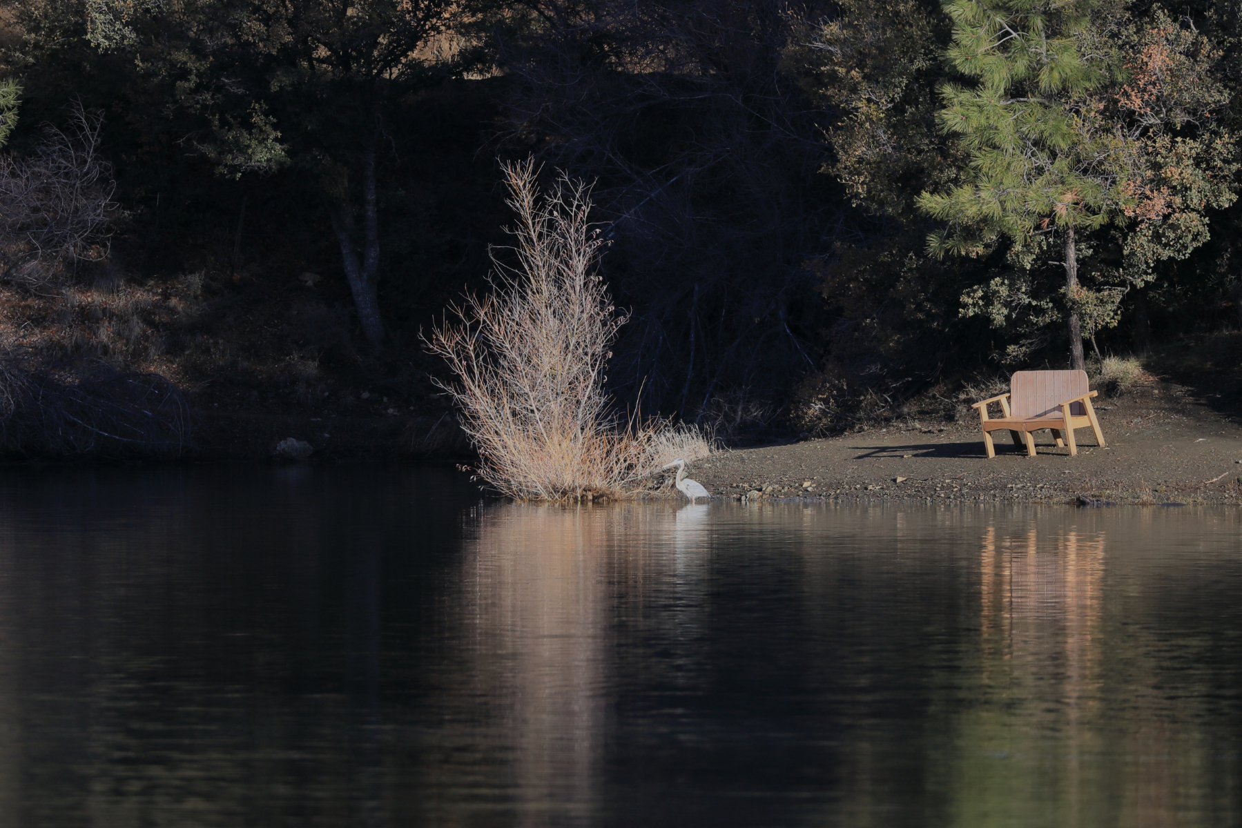 02-blueheron_253A5342.jpg 02-blueheron_253A5342.jpg